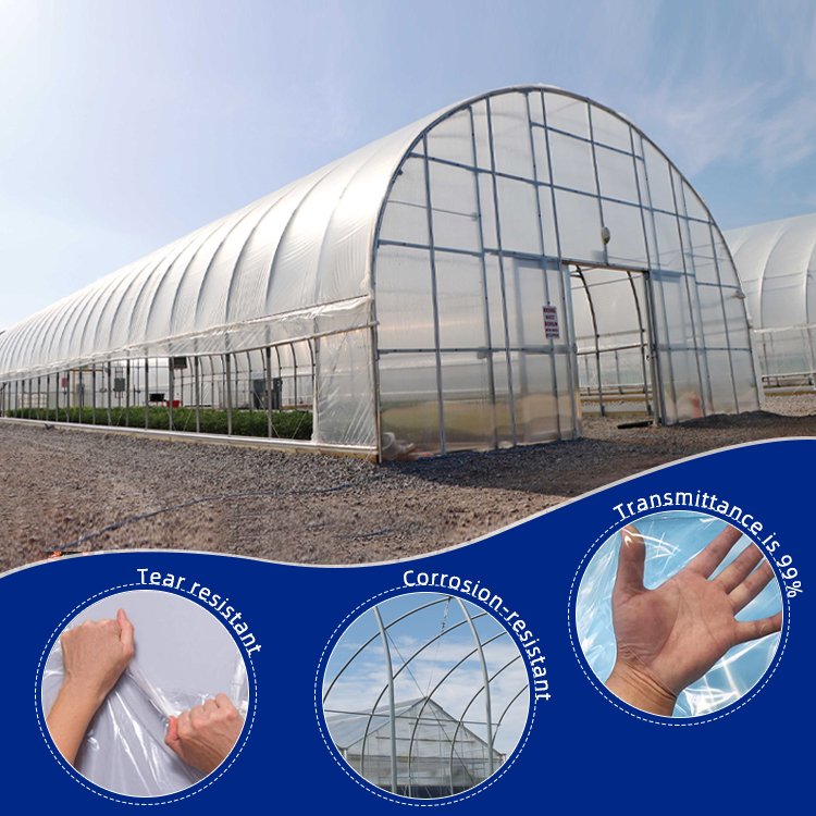 large commercial Tomato Hydroponics grow invernadero Green House frame tunnels Agricultural prefab Greenhouse For plant