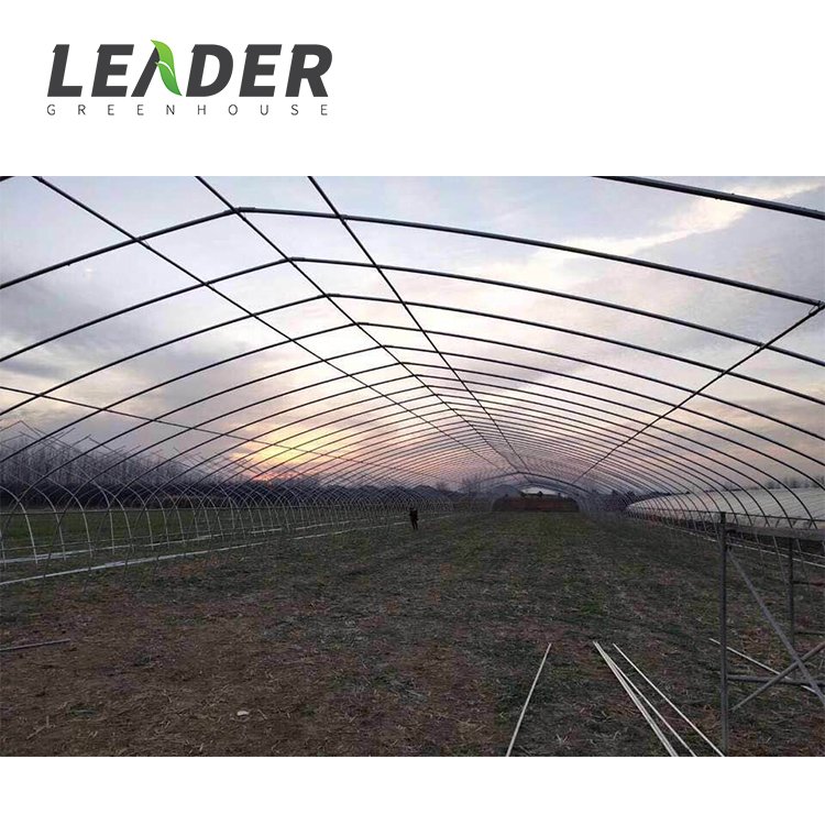 agriculture vegetable growing UV protection poly film cover tunnel single span hot galvanized greenhouse low cost kit