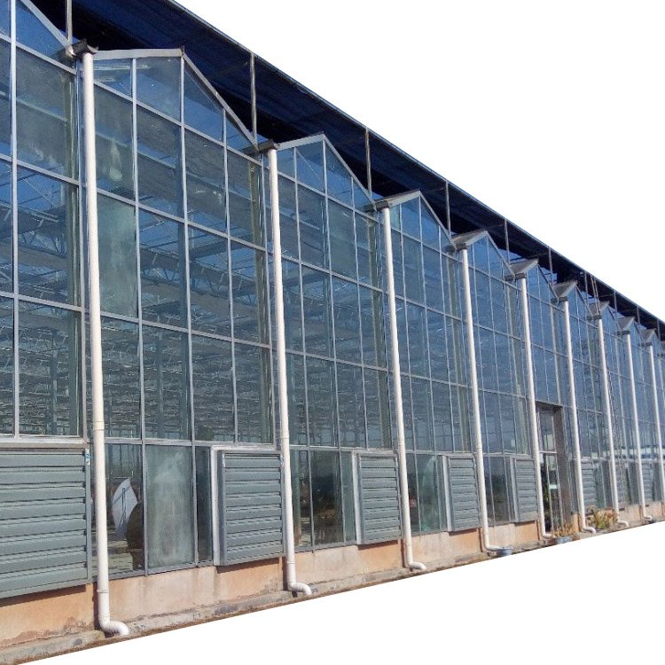Large Multi-Span Agricultural Glass Greenhouse Plants Hydroponic Tunnel Greenhouse Steel