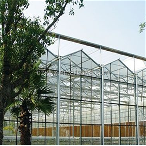 Large Multi-Span Agricultural Glass Greenhouse Plants Hydroponic Tunnel Greenhouse Steel
