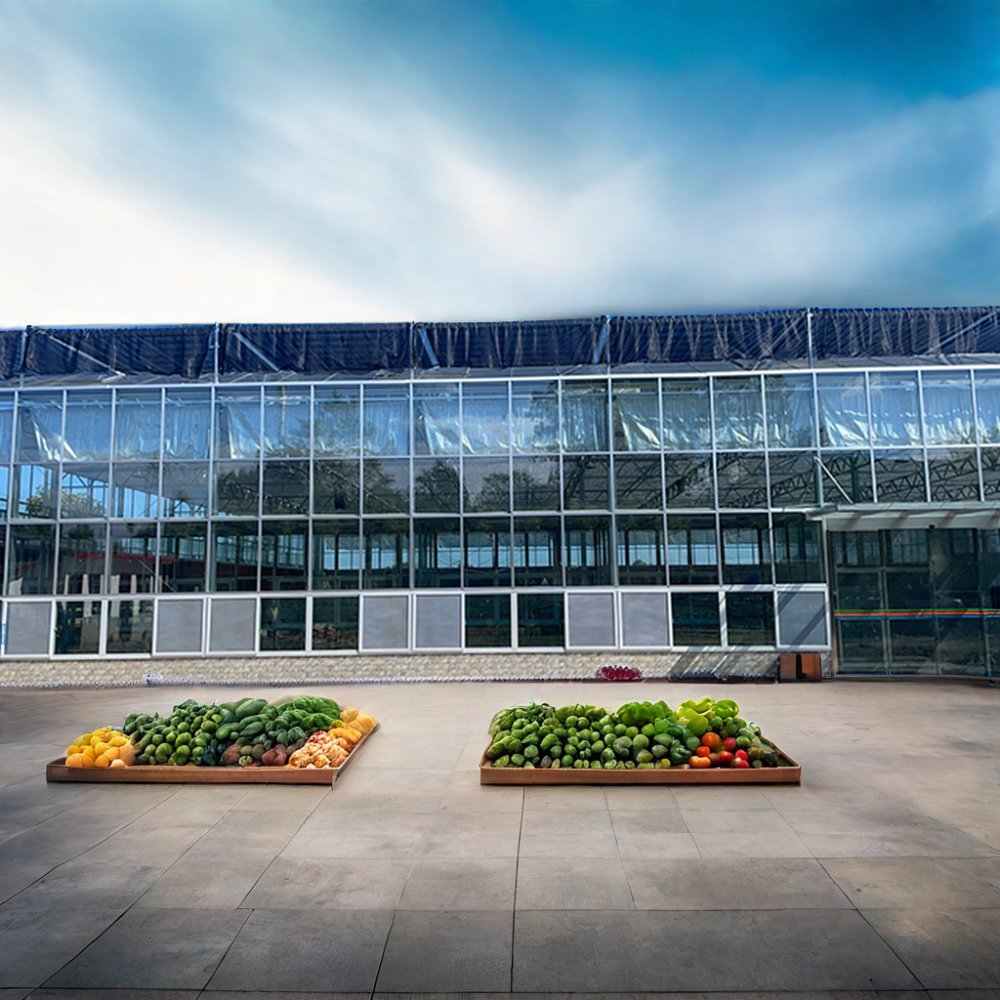 High Efficiency Large Multi-Span Glass Agricultural Greenhouse