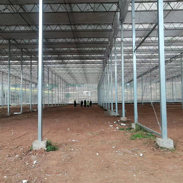 High Efficiency Large Multi-Span Glass Agricultural Greenhouse