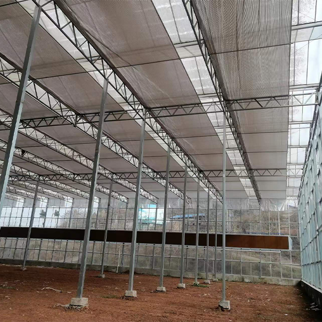 High Efficiency Large Multi-Span Glass Agricultural Greenhouse