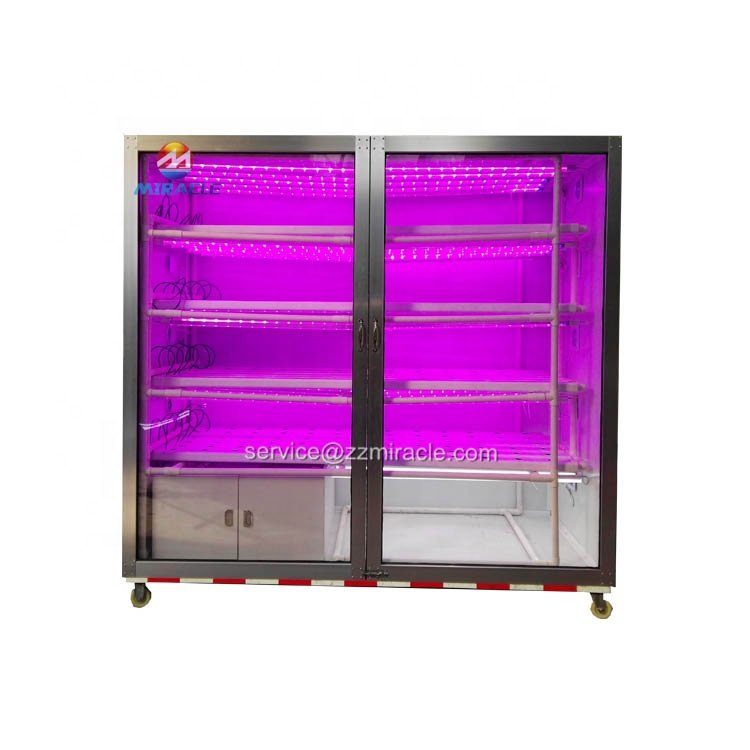 Miracle brand No soil Hydroponic Vegetable System Hydroponics Agriculture Plant Cultivate Greenhouse