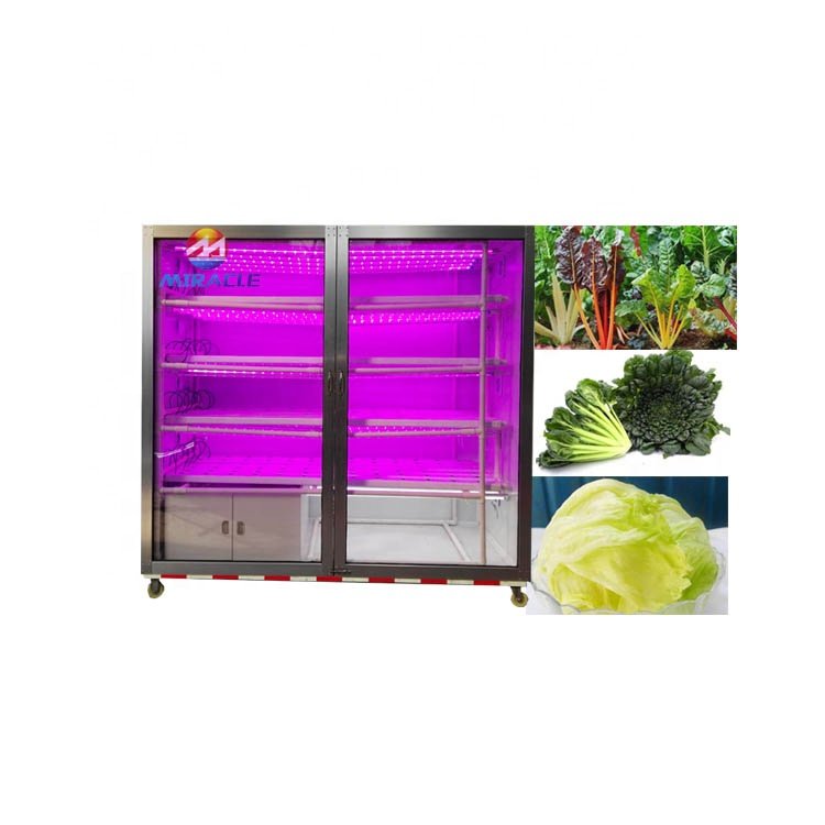 Miracle brand No soil Hydroponic Vegetable System Hydroponics Agriculture Plant Cultivate Greenhouse