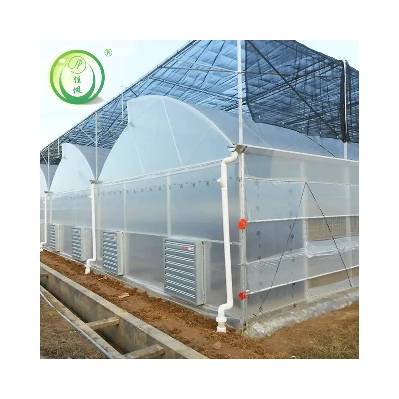 Jiapei best selling high quality Easy Assemble Agricultural Serrated Greenhouses For Plant Growing Cheap Plastic Ventilation