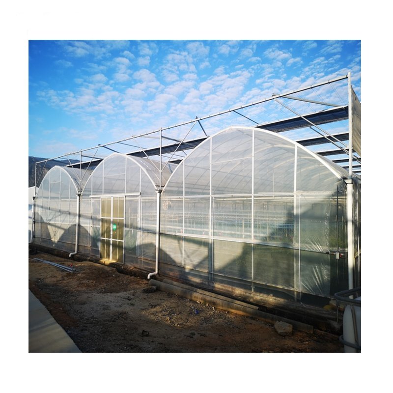 Agricultural Greenhouse Hydroponics System for Tomato/Lettuce/Pepper/Leaf Greens/Herbs Growing