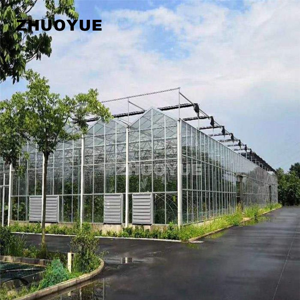 Factory made Professional Design hot galvanized steel greenhouse for vegetables Flowers Fruits
