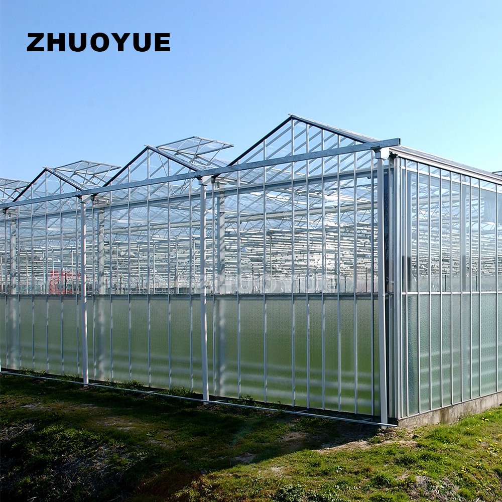 Factory made Professional Design hot galvanized steel greenhouse for vegetables Flowers Fruits