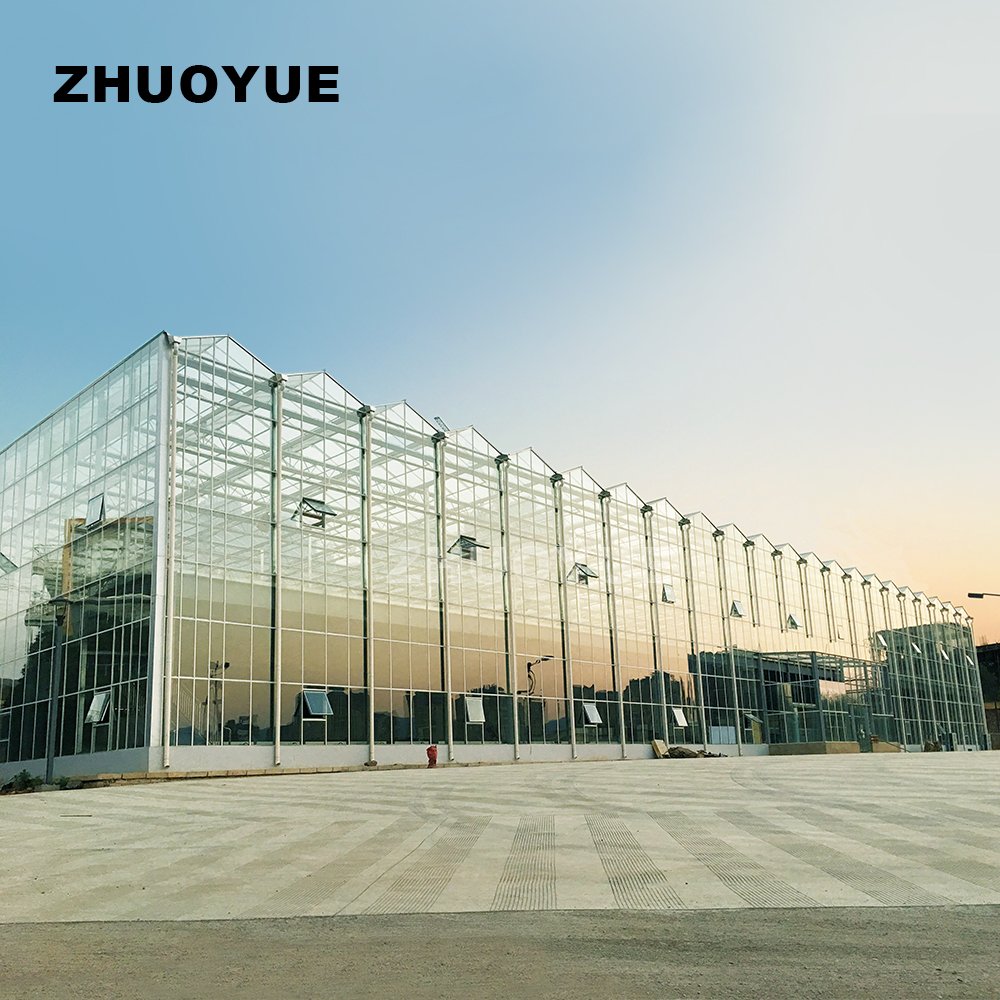Factory made Professional Design hot galvanized steel greenhouse for vegetables Flowers Fruits