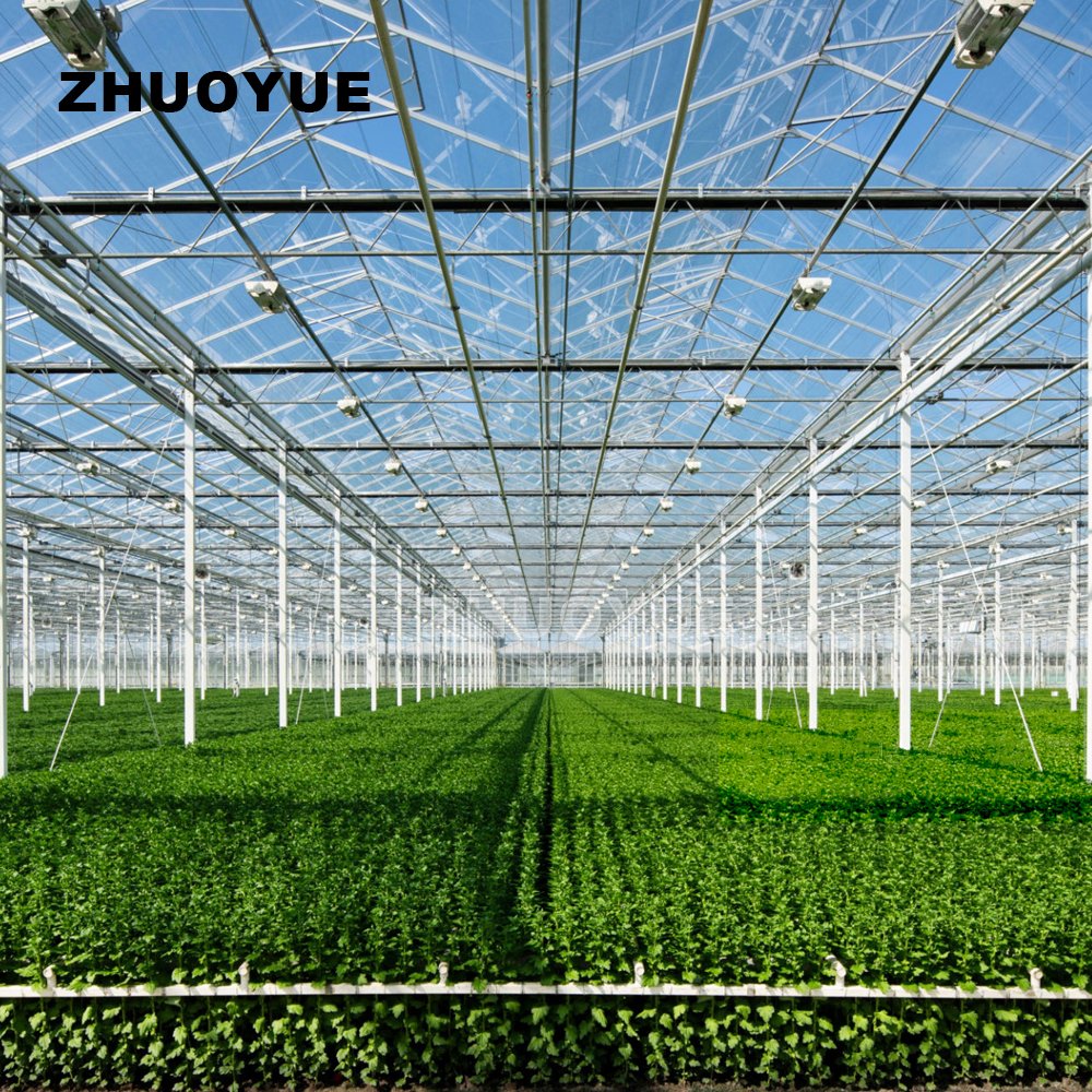 Factory made Professional Design hot galvanized steel greenhouse for vegetables Flowers Fruits