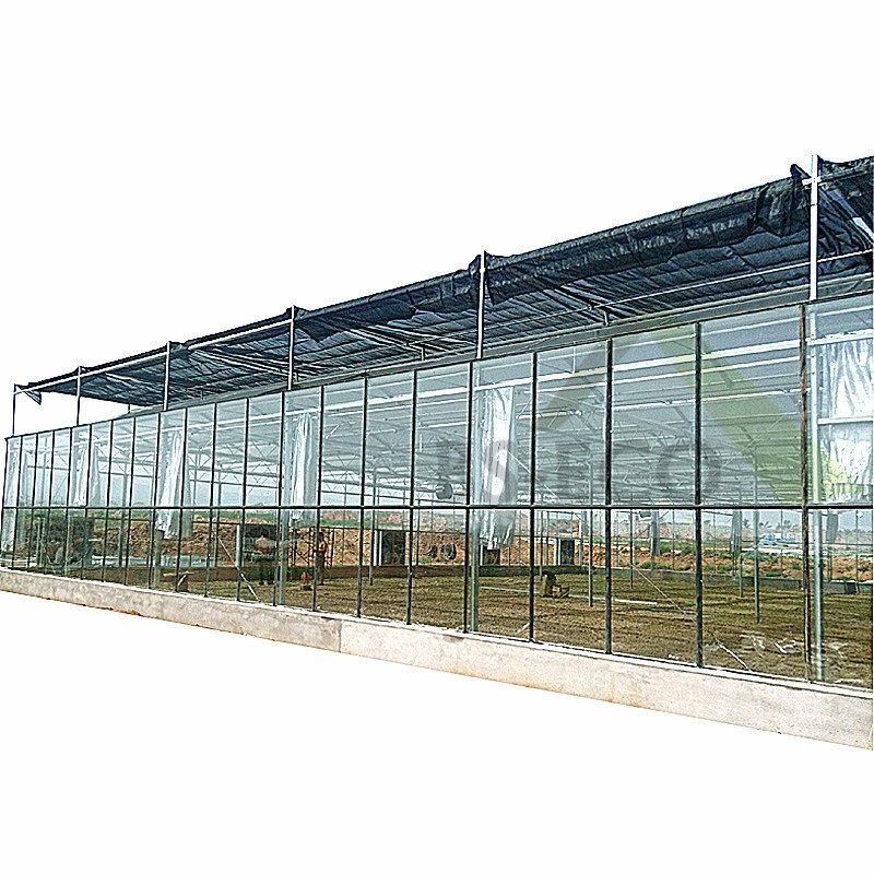 Glass Greenhouse Agriculture Greenhouse