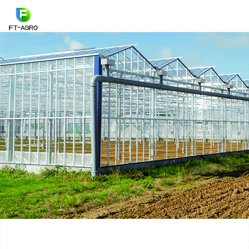 Glass Greenhouse Agriculture Greenhouse
