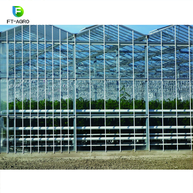 Glass Greenhouse Agriculture Greenhouse