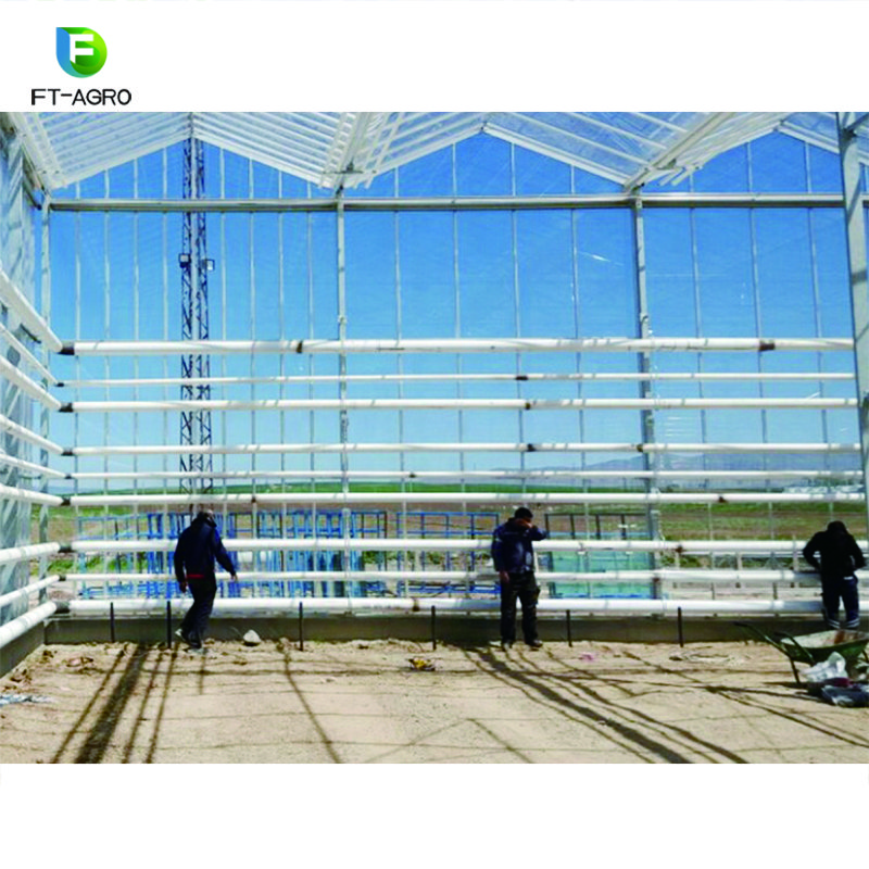 Glass Greenhouse Agriculture Greenhouse
