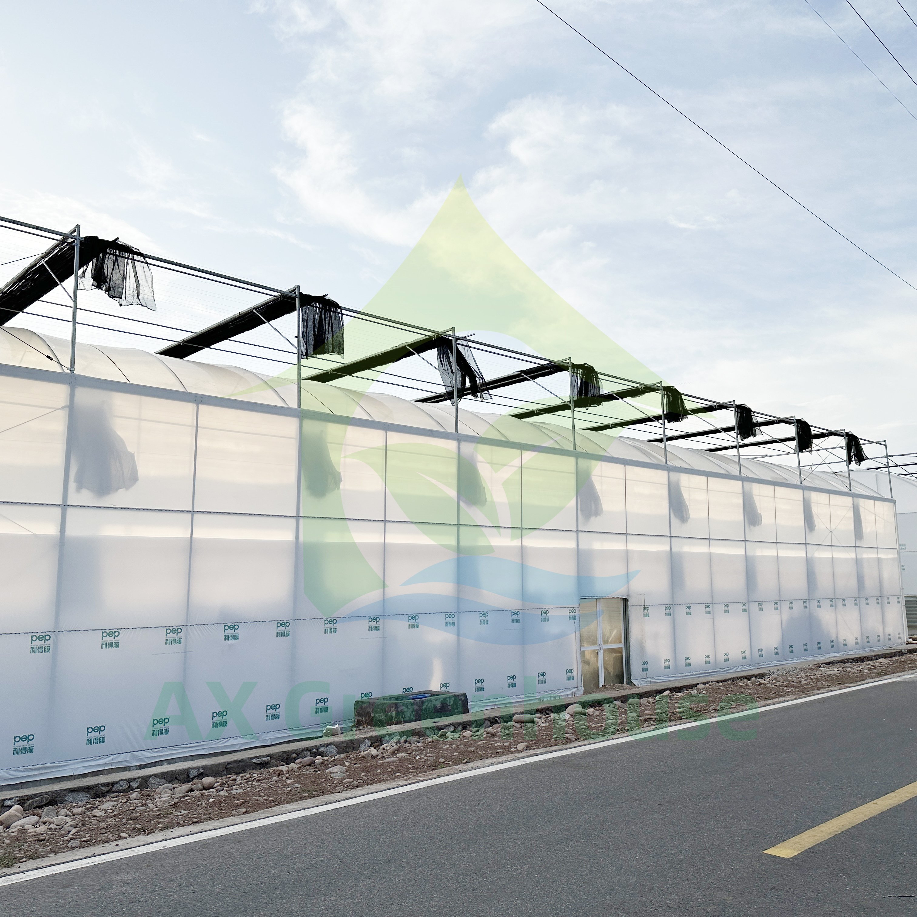 Galvanized Frame Structure Durable Plastic Film Multi-span Wind Resistant Agricultural Greenhouse Hothouse For Tomato Growing