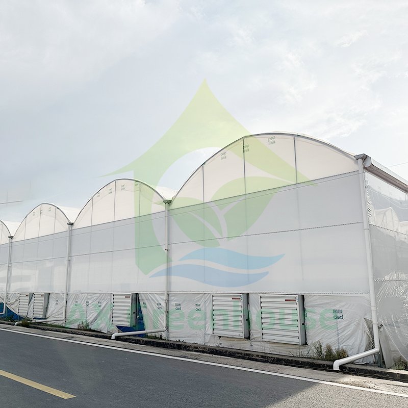 Galvanized Frame Structure Durable Plastic Film Multi-span Wind Resistant Agricultural Greenhouse Hothouse For Tomato Growing