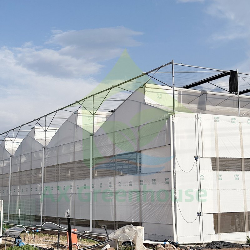 Galvanized Frame Structure Durable Plastic Film Multi-span Wind Resistant Agricultural Greenhouse Hothouse For Tomato Growing
