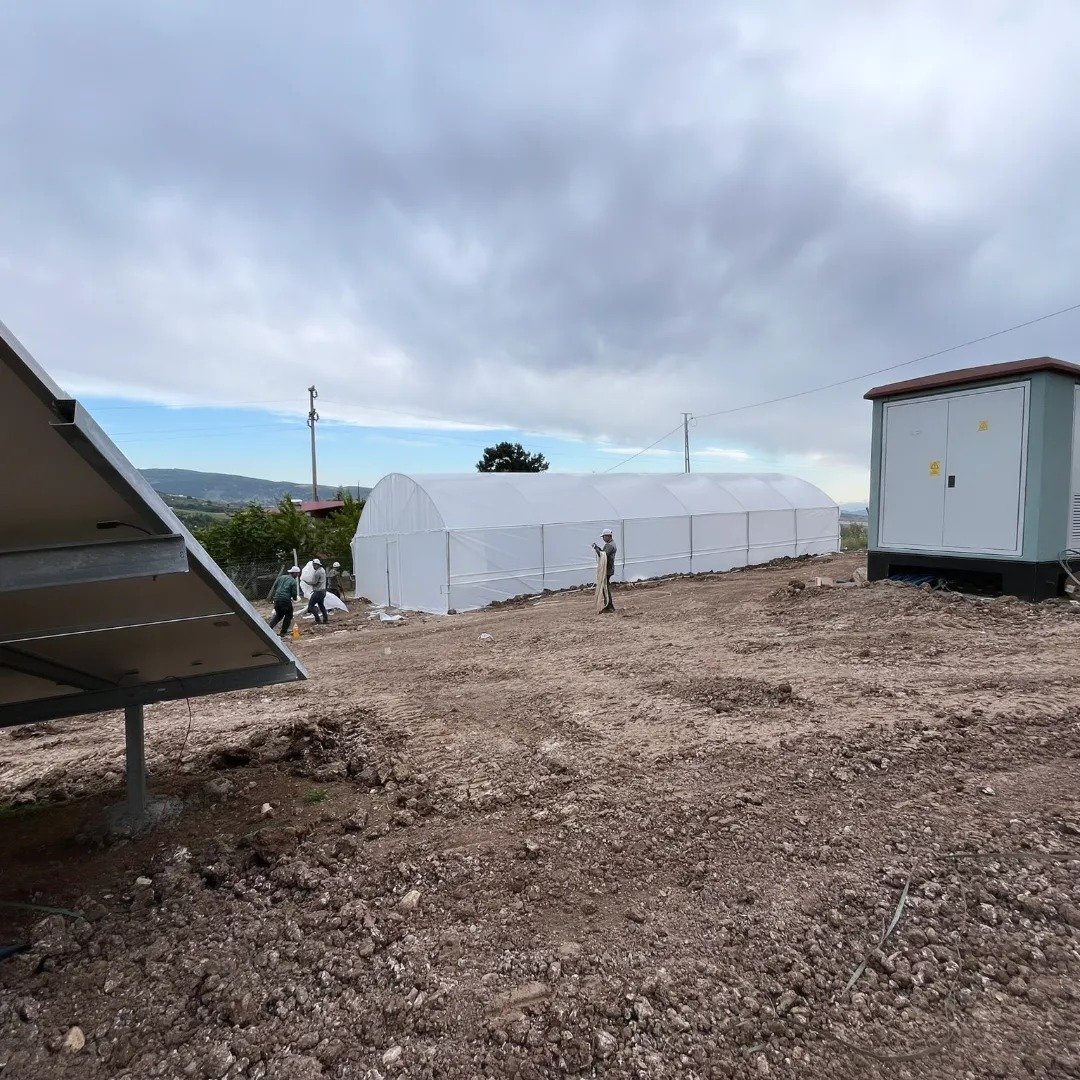 large tunnel strawberry industrial mushroom farm grow vegetable prefab single-span agricultural greenhouse frame for sale