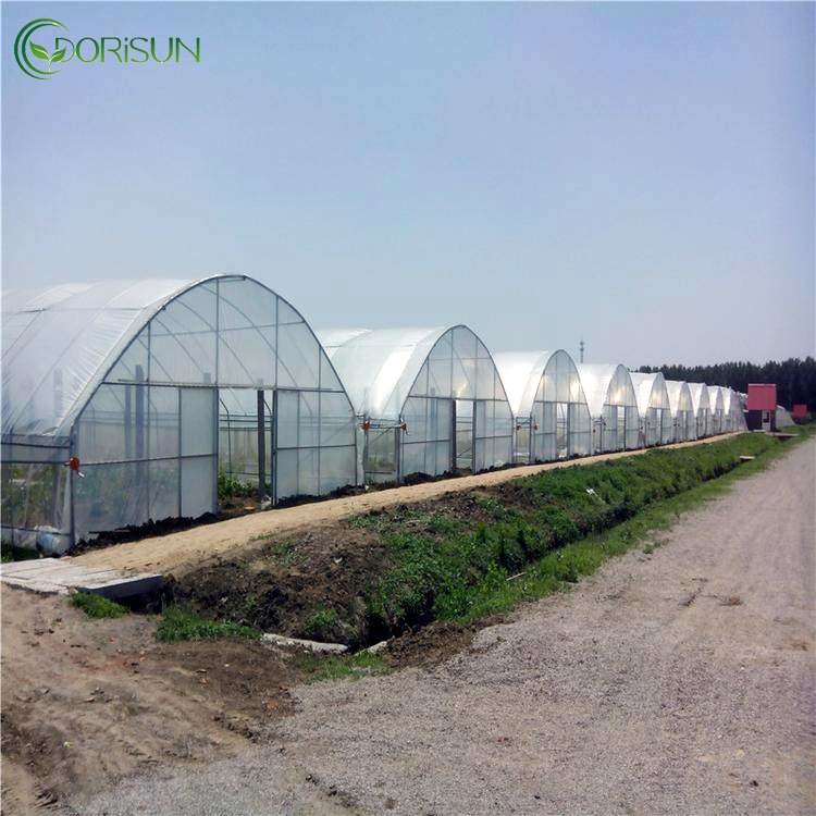 Low Cost Used Agriculture Greenhouses Polycarbonate Greenhouse Large Small Greenhouses For Sale