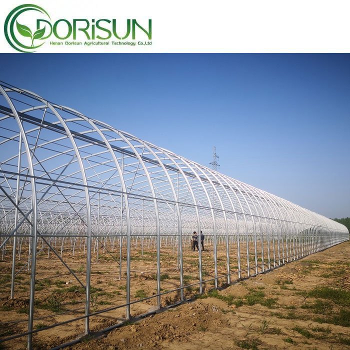 Low Cost Used Agriculture Greenhouses Polycarbonate Greenhouse Large Small Greenhouses For Sale