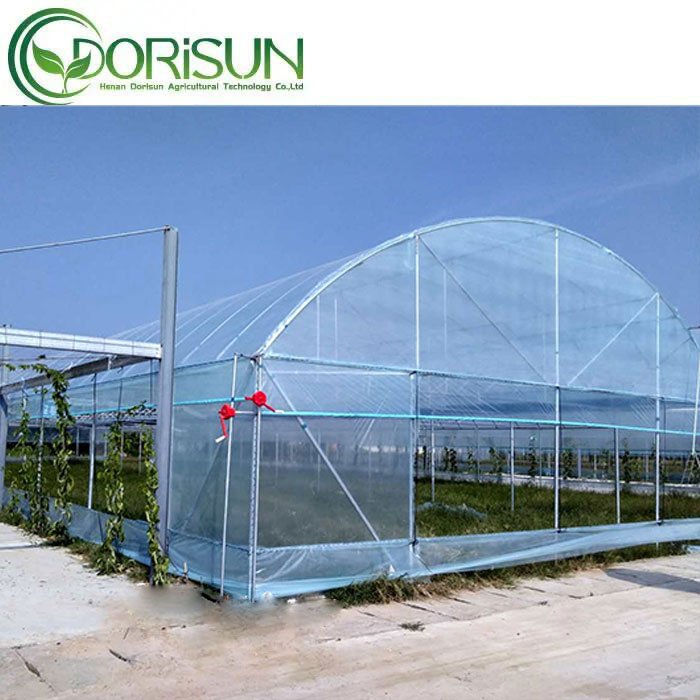 Low Cost Used Agriculture Greenhouses Polycarbonate Greenhouse Large Small Greenhouses For Sale