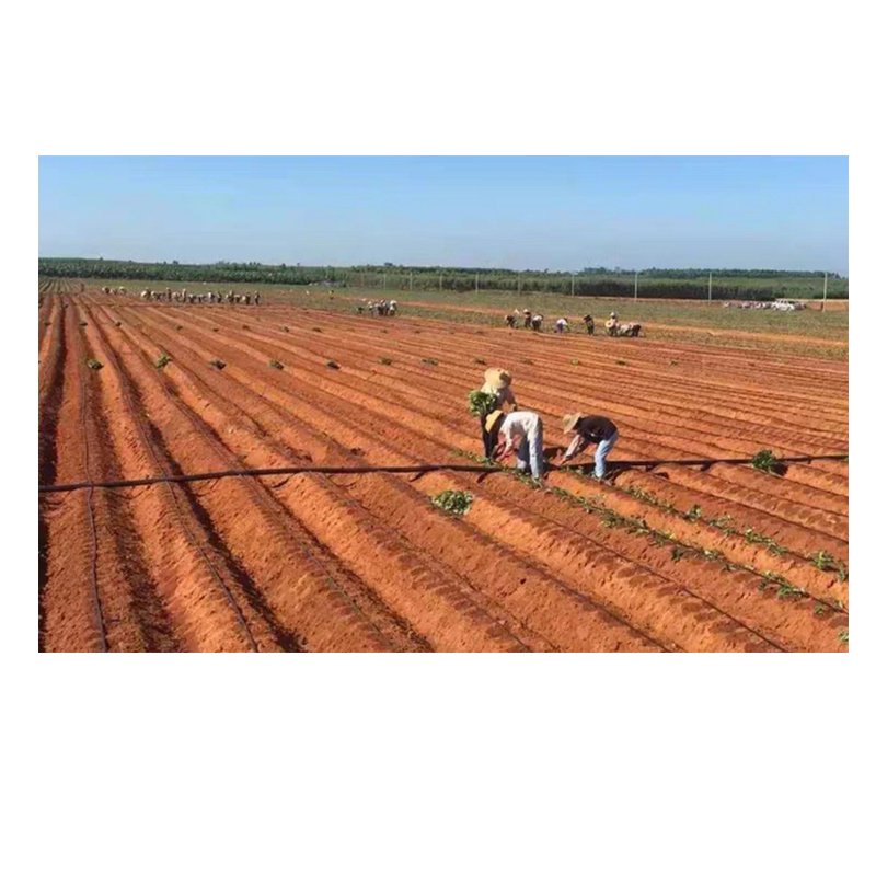 Flat Emitters Water Saving Greenhouse System Drip Irrigation Pipe Agriculture Drip Line Belt 16Mm Flat Dripper Drip Tape
