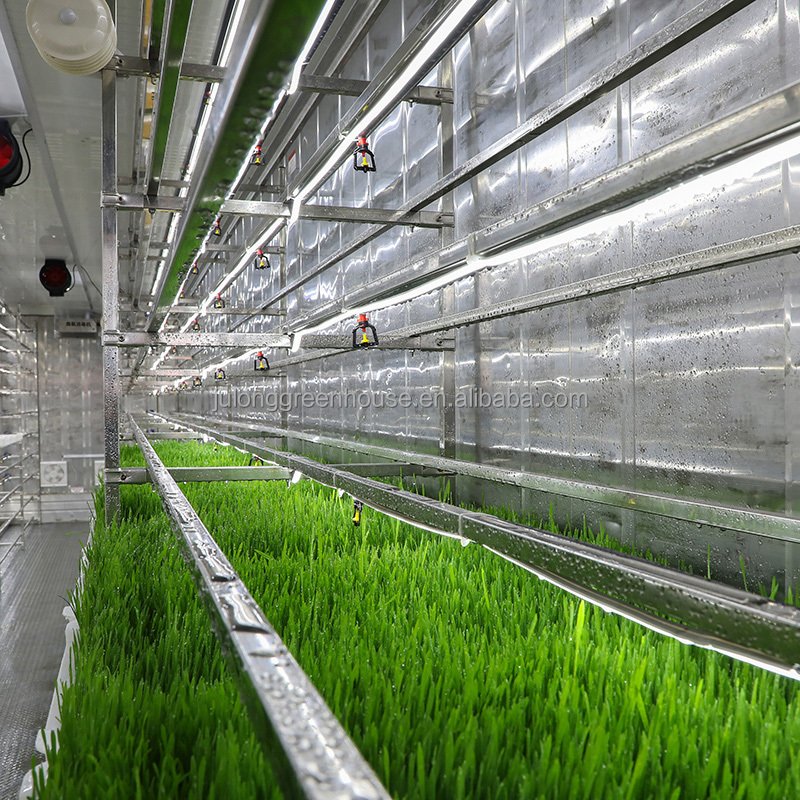 Fodder Smart Farm Shipping Container Grow Room Hydroponic Vertical Farming Container Greenhouse