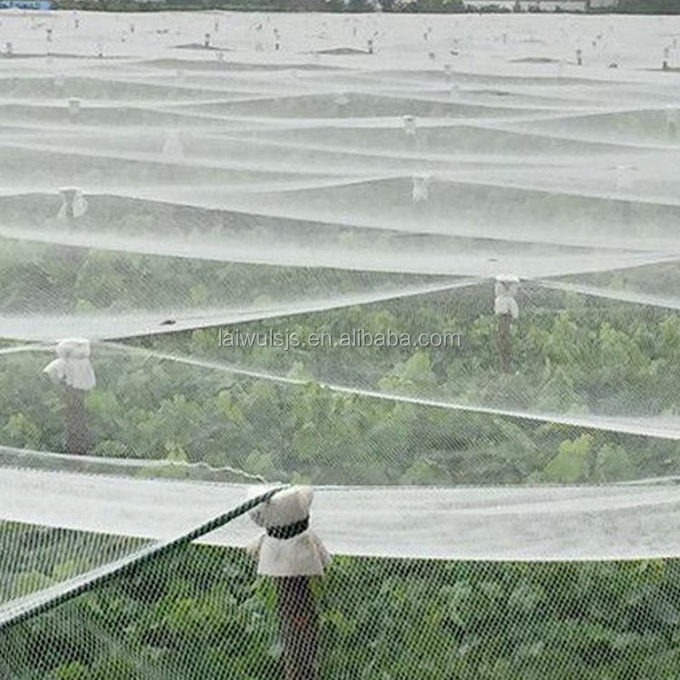 40mesh 60mesh 80mesh insect net fly net for agriculture greenhouse horticulture