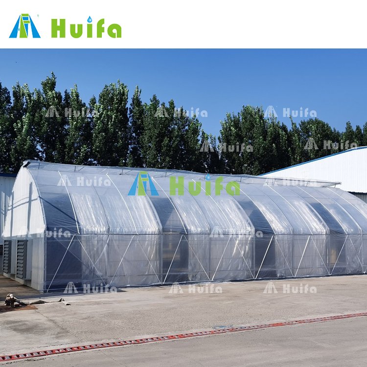Huifa Vegetable Seeds Poly Film Blackout Greenhouse Tunnel Greenhouse Agriculture