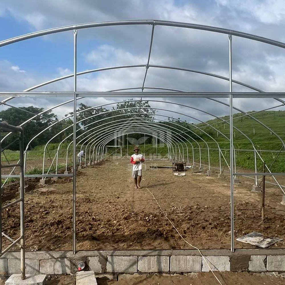 Baolida Polytunnel High Quality Plastic Film High Tunnel Single-Span Greenhouse For Agriculture