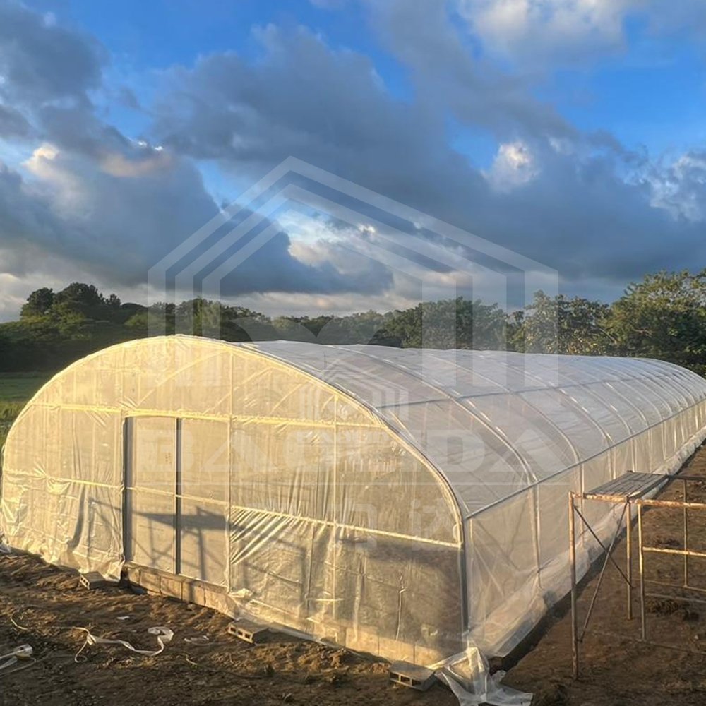 Baolida Polytunnel High Quality Plastic Film High Tunnel Single-Span Greenhouse For Agriculture