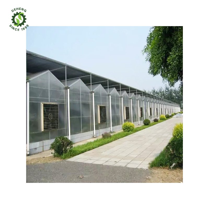 Promotional Various Durable Using Multi-Span Agricultural Pc Greenhosuse Agricultural Polytunnel Greenhouse For Outdoors