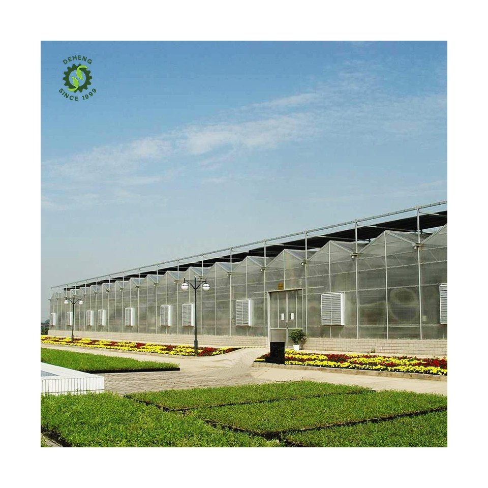 Promotional Various Durable Using Multi-Span Agricultural Pc Greenhosuse Agricultural Polytunnel Greenhouse For Outdoors