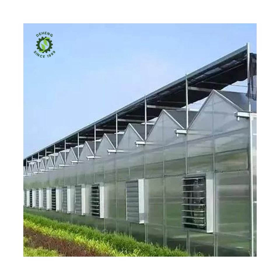 Promotional Various Durable Using Multi-Span Agricultural Pc Greenhosuse Agricultural Polytunnel Greenhouse For Outdoors