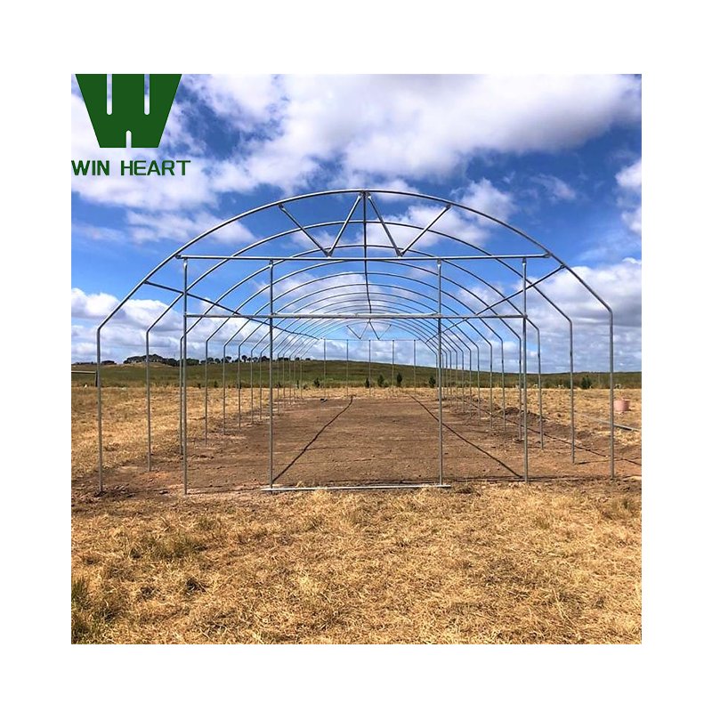 Single-Span Agricultural/Commercial Greenhouse for Vegetable Tomato Growing