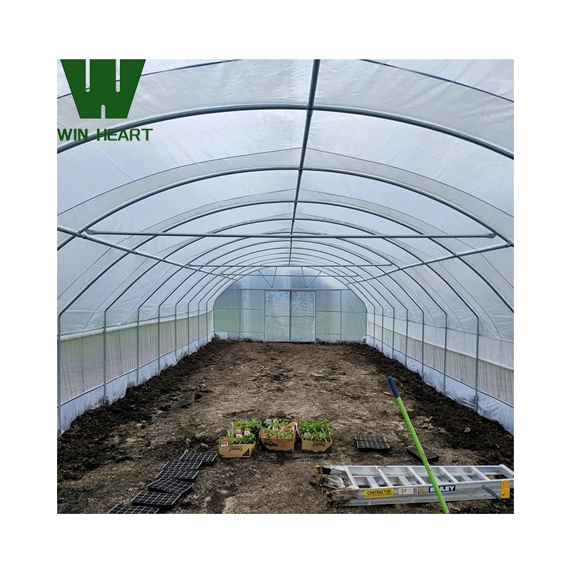 Single-Span Agricultural/Commercial Greenhouse for Vegetable Tomato Growing