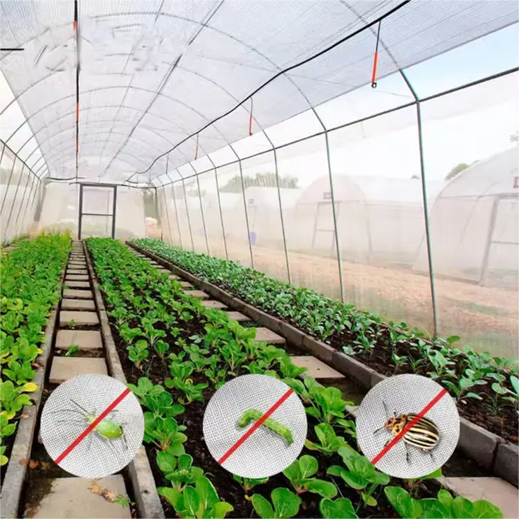 High quality transparent 200 Micron Greenhouse Film Cover Green House Plastic Film