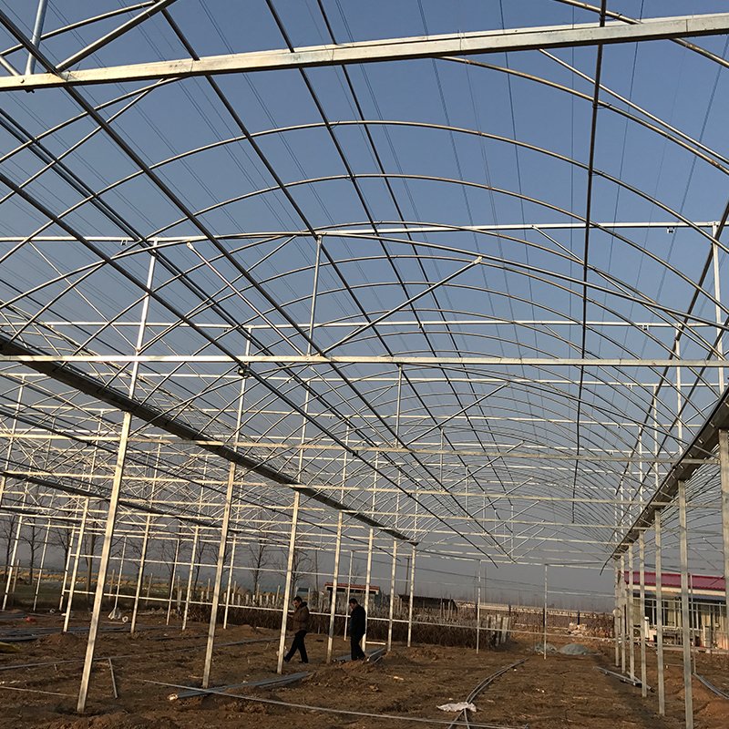 Cheap Price Strawberry Insultaion Agricultural Greenhouses Film Plants Growing Vertical Planter Large Agriculture Double Layer