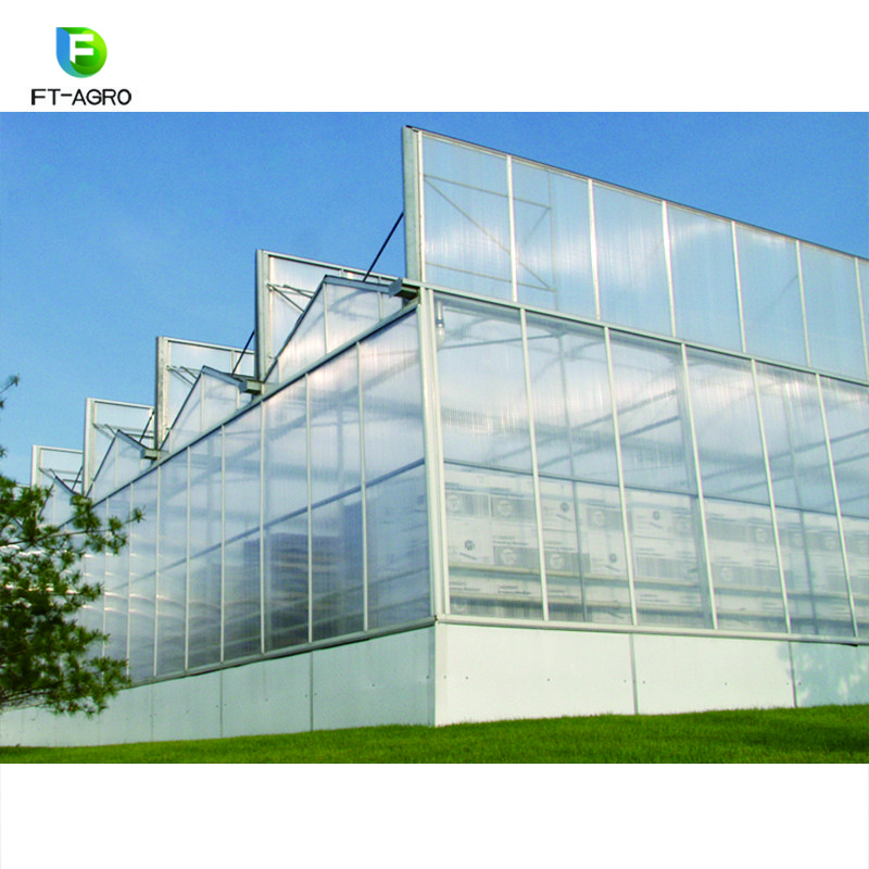 Multi span PC sheet cover tunnel greenhouse