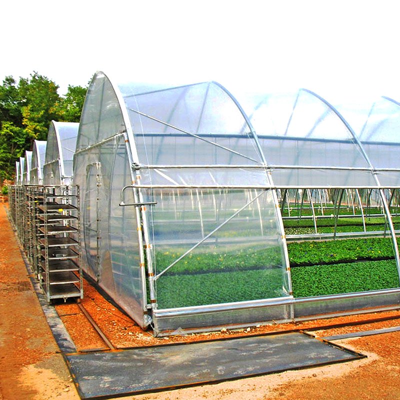 Hot-galvanized frame hydroponics farm tunnel single-span agricultural greenhouse for sale