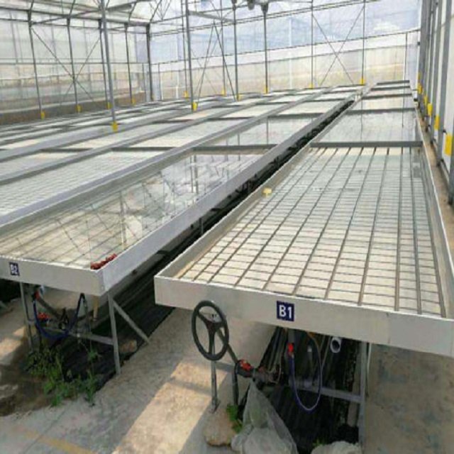 4x4 4x8 5x12 Agriculture Greenhouse ABS Flood, Tray Flood Table Racks Stand Movable Seedbed Rolling Bench Growing Table/
