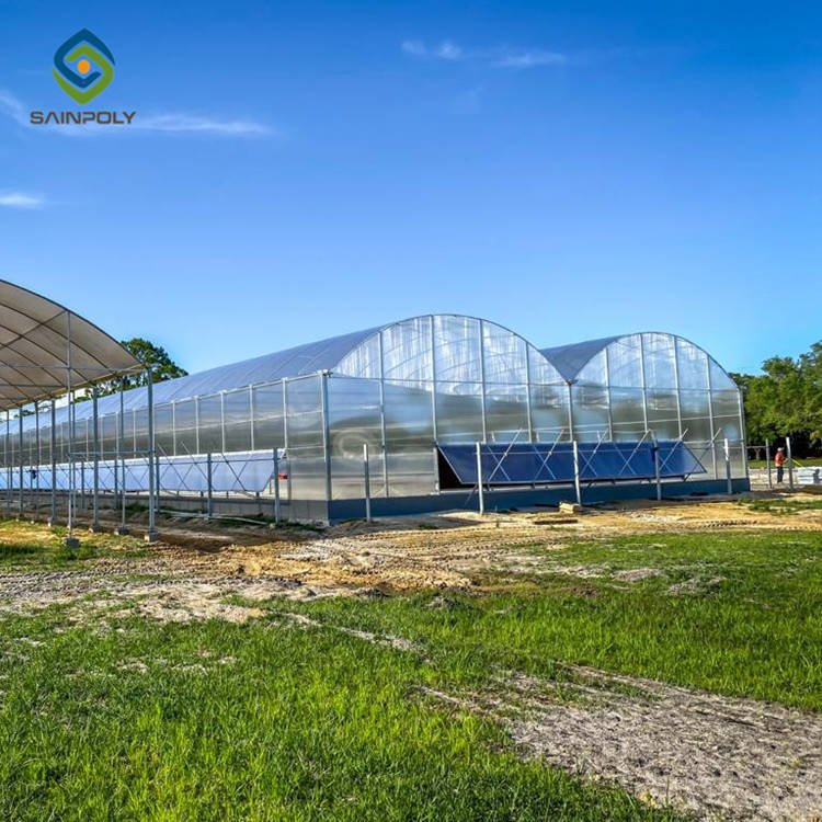Sainpoly Hot Sale Large Polycarbonate Greenhouse with Steel Frame for Agriculture High Quality