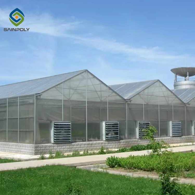 Sainpoly Hot Sale Large Polycarbonate Greenhouse with Steel Frame for Agriculture High Quality