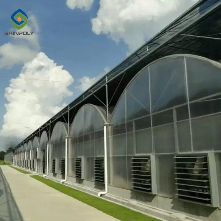 Sainpoly Hot Sale Large Polycarbonate Greenhouse with Steel Frame for Agriculture High Quality