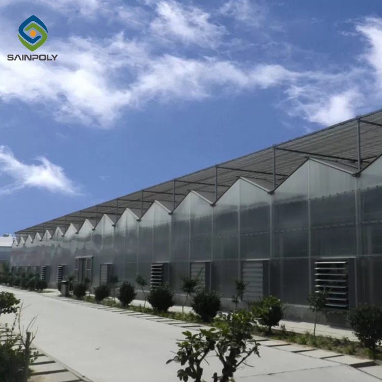 Sainpoly Hot Sale Large Polycarbonate Greenhouse with Steel Frame for Agriculture High Quality
