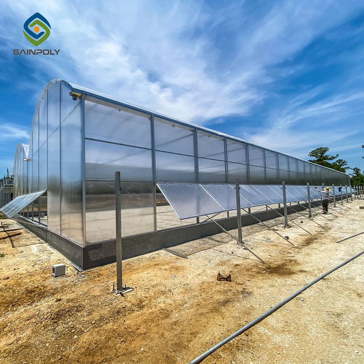 Sainpoly Hot Sale Large Polycarbonate Greenhouse with Steel Frame for Agriculture High Quality