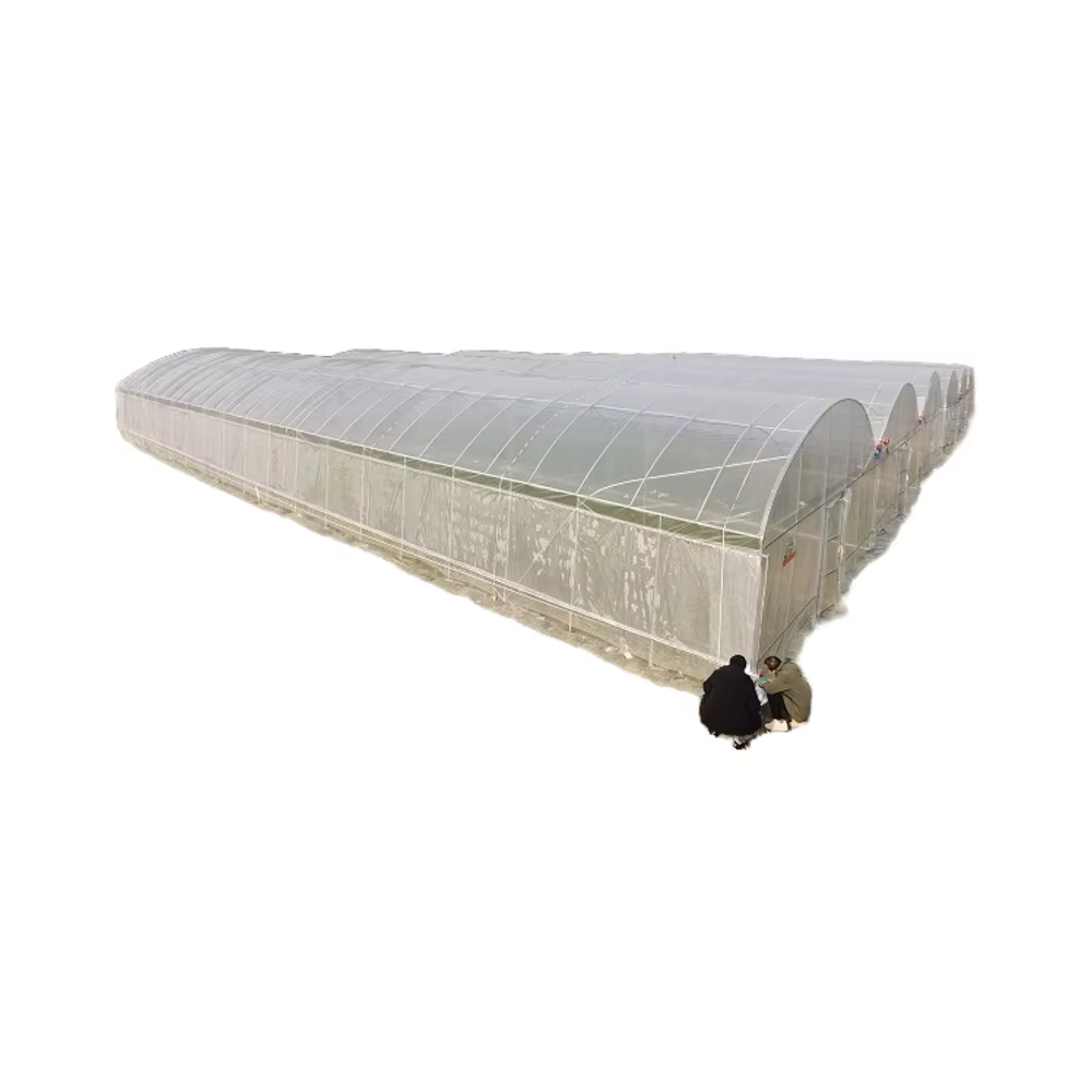 High Quality Steel Structure Tunnel Greenhouse Long-Life Square Tube Design for Agriculture Project Durable Plastic Material