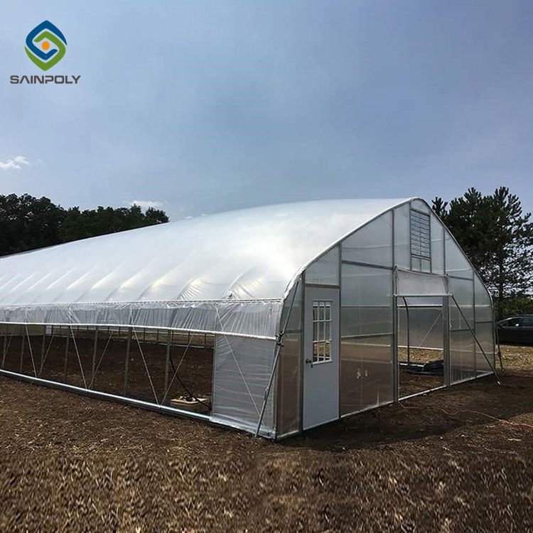 Low Cost Plants Growing Single-span Cheap Large Size Tunnel Agricultural Greenhouse For Tomato Growing