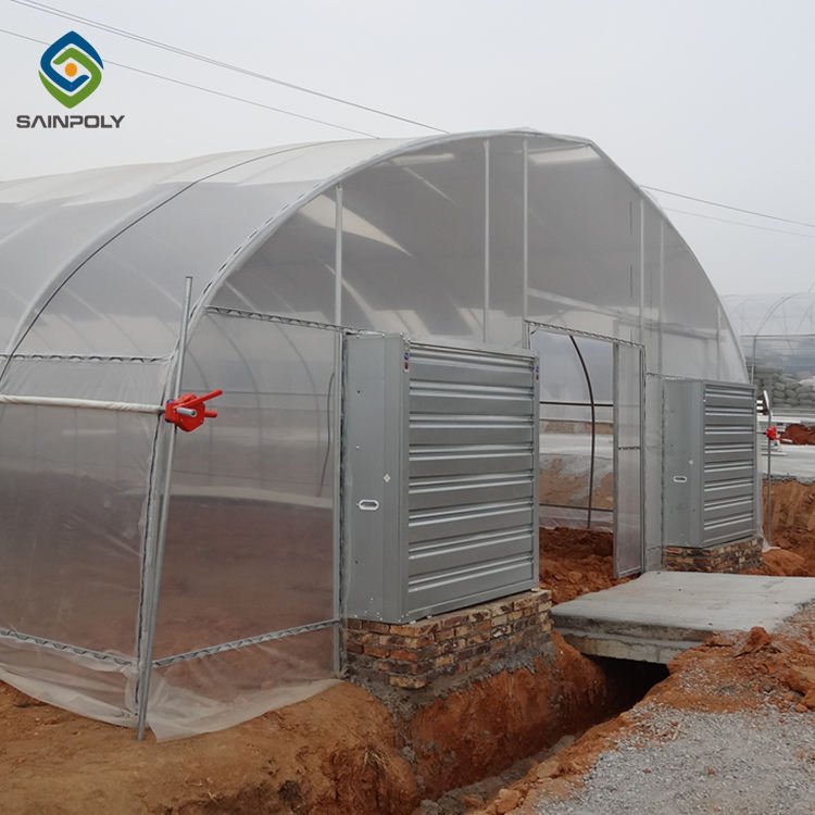 Low Cost Plants Growing Single-span Cheap Large Size Tunnel Agricultural Greenhouse For Tomato Growing